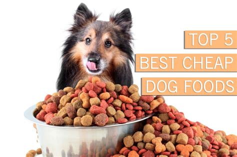 best affordable dog food